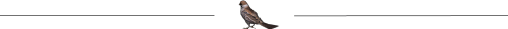 分隔线