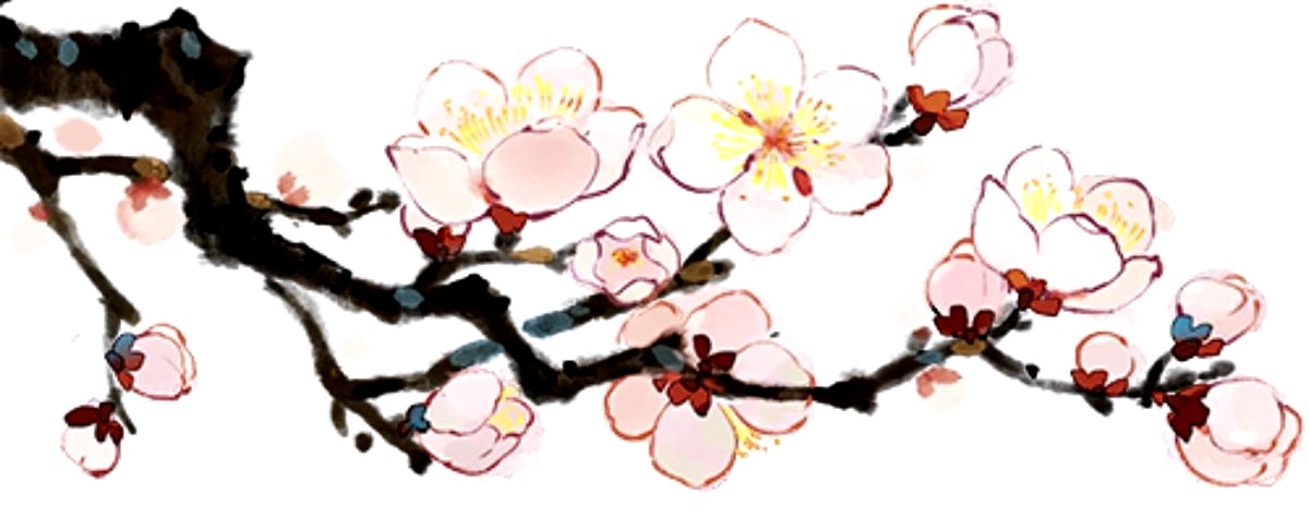 顶
