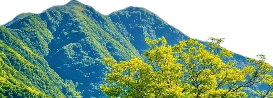 风景