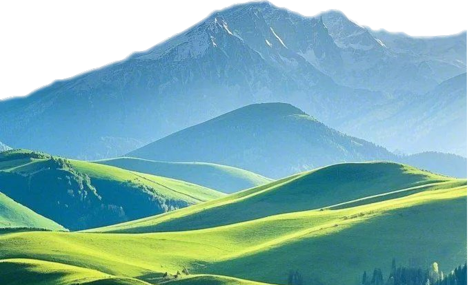 风景