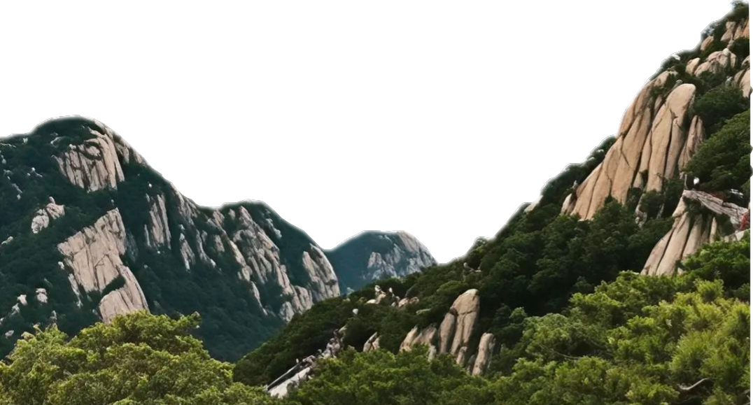 风景
