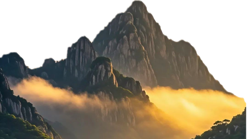 风景