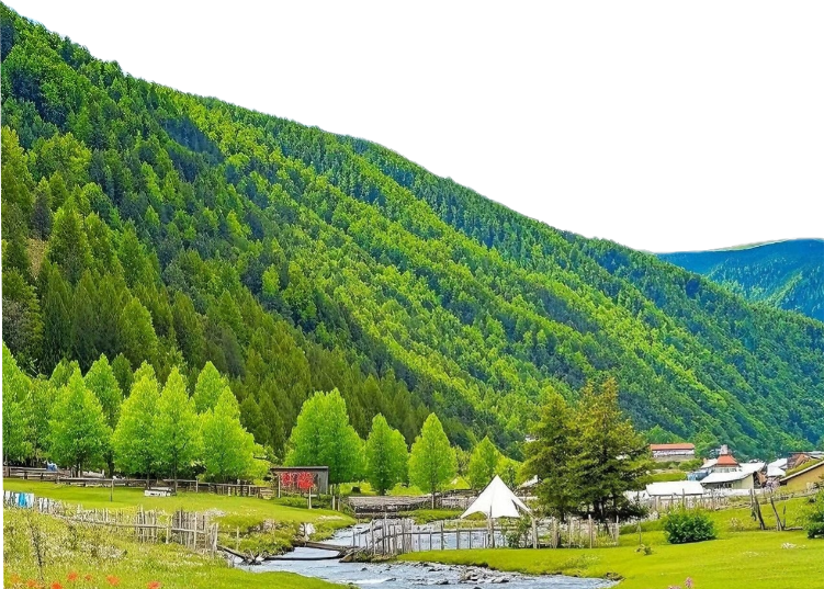 风景