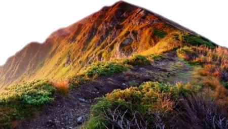风景