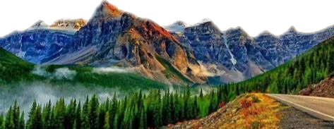 风景