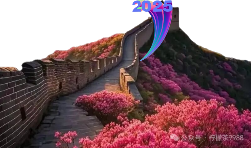 风景