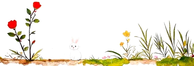 花草兔