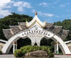 519活动